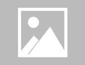 兰博电竞北京青鸟磁维电竞欧洲综合格斗赛后回顾