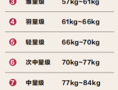 市场营销论文参考文献大全内江综合格斗学院运动员团队简介描述mma综合格斗身体训练书籍